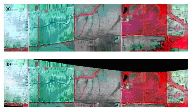 A raw image of field 1: (a) platform−based image distortion, and (b) after correcting for error caused by platform roll.